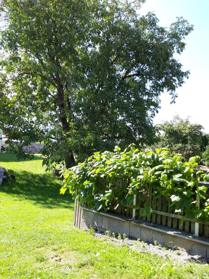 Ferienwohnung Im Seidlerhof Mit Balkon Und Garten Röhrnbach Εξωτερικό φωτογραφία