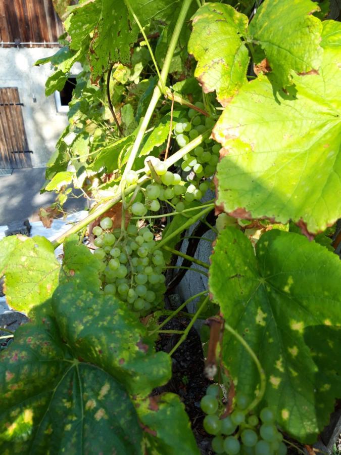 Ferienwohnung Im Seidlerhof Mit Balkon Und Garten Röhrnbach Εξωτερικό φωτογραφία