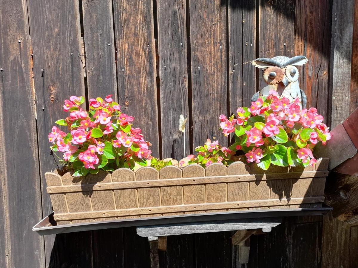 Ferienwohnung Im Seidlerhof Mit Balkon Und Garten Röhrnbach Εξωτερικό φωτογραφία