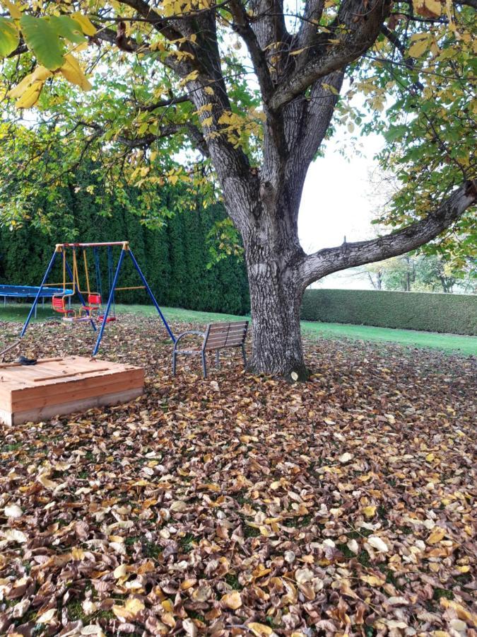 Ferienwohnung Im Seidlerhof Mit Balkon Und Garten Röhrnbach Εξωτερικό φωτογραφία