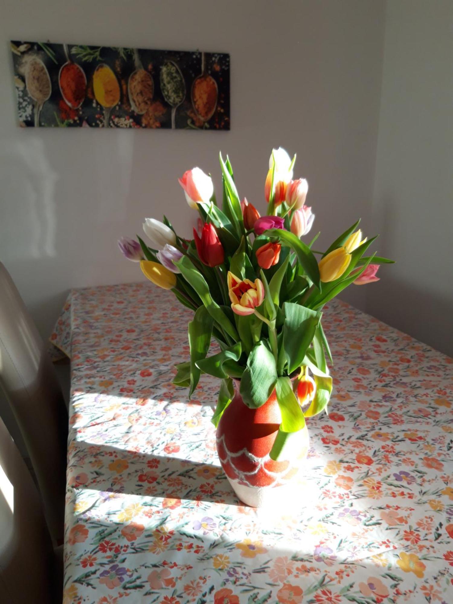 Ferienwohnung Im Seidlerhof Mit Balkon Und Garten Röhrnbach Εξωτερικό φωτογραφία